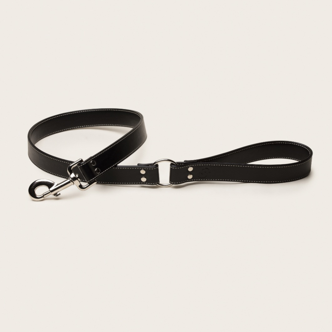Black Vegan Apple Leather Dog Lead | Eco-Friendly Pet Accessory