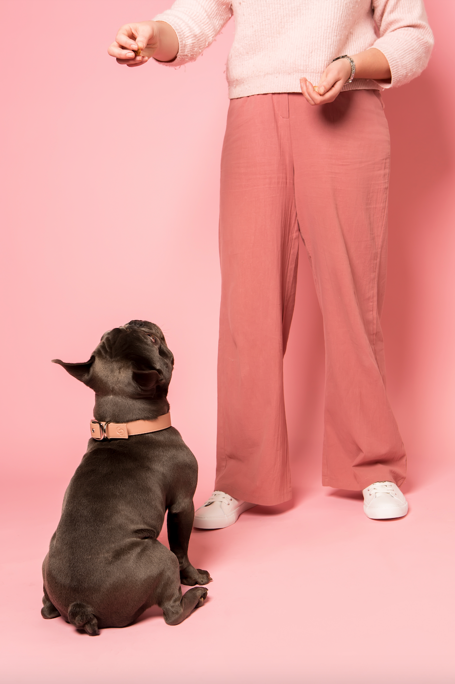 Blush Pink Vegan Apple Leather Dog Collar | Eco-Friendly Pet Accessory