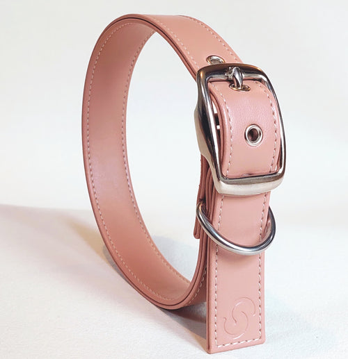 Blush Pink Vegan Apple Leather Dog Collar | Eco-Friendly Pet Accessory